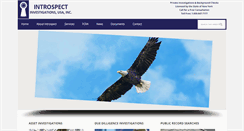 Desktop Screenshot of introspectusa.com